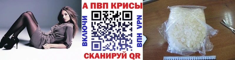 как найти   Ачхой-Мартан  гидра tor  A PVP СК 